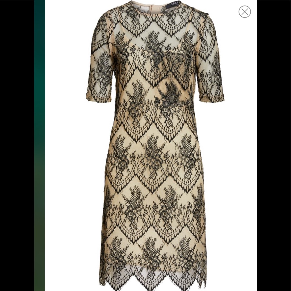 New Caara Scalloped Lace Shift Dress. XL